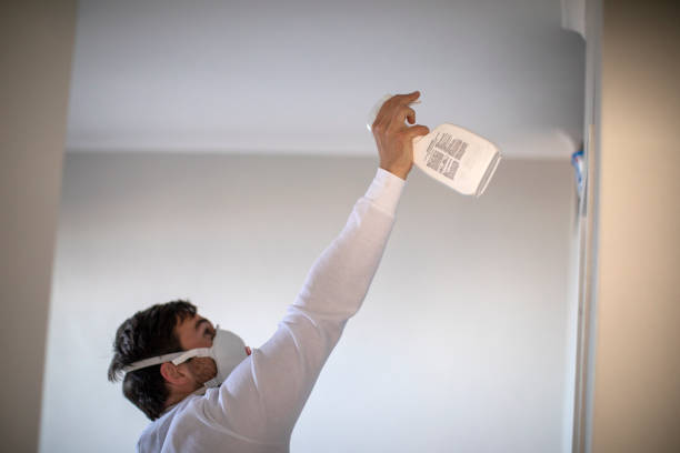 Best Emergency Mold Remediation in Clinton, MO