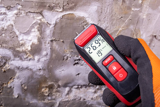 Best Black Mold Remediation in Clinton, MO